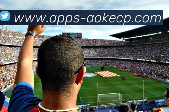 App Interface Preview